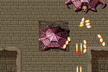 Guardian Storm 11