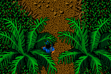Guerrilla War 6