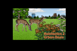 Habitactics 2: Urban Oasis 0