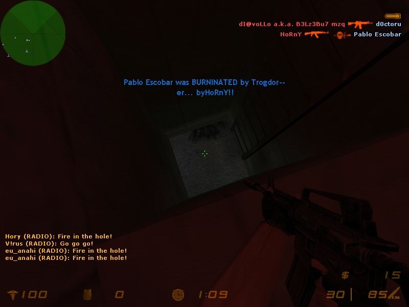 Half-Life: Counter-Strike 13