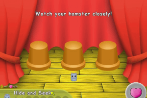 Hamsters 4