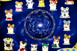 Hamtaro: Starry Night Tour 1