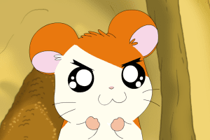 Hamtaro: Wake Up Snoozer! 0