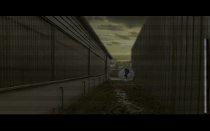 Hardline 13