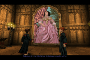 Harry Potter and the Chamber of Secrets 17