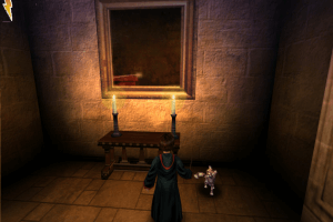 Harry Potter and the Chamber of Secrets 18