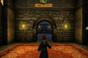 Harry Potter and the Chamber of Secrets 25