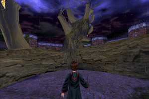 Harry Potter and the Chamber of Secrets 29