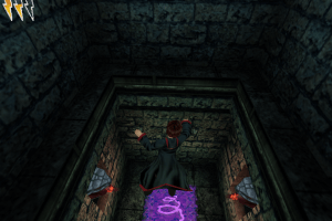 Harry Potter and the Chamber of Secrets 37