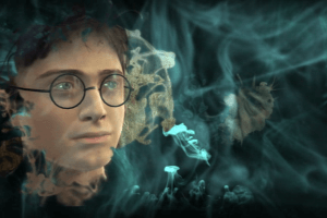 Harry Potter and the Half-Blood Prince 1