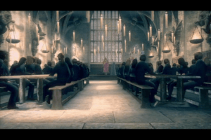 Harry Potter and the Order of the Phoenix 22