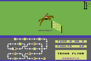 Harvey Smith Showjumper 3