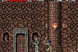Haunted Castle 28