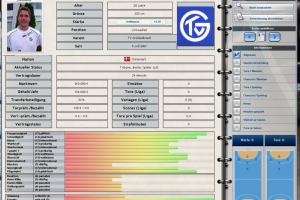 Heimspiel: Handballmanager 2008 2