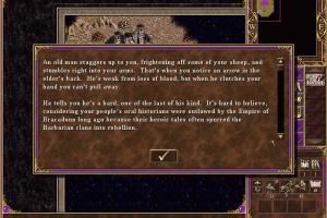 Heroes Chronicles: Warlords of the Wasteland 6