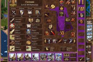 Heroes Chronicles: Warlords of the Wasteland 7