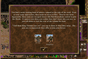 Heroes Chronicles: Warlords of the Wasteland 9