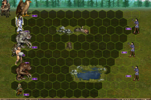 Heroes Chronicles: Warlords of the Wasteland 11