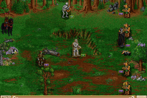 Heroes of Might and Magic II: The Succession Wars 11