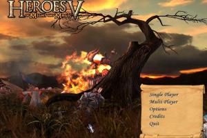Heroes of Might and Magic V 0
