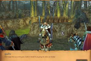 Heroes of Might and Magic V 17
