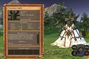 Heroes of Might and Magic V 30