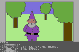 Hi-Res Adventure #2: The Wizard and the Princess 3