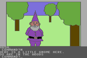 Hi-Res Adventure #2: The Wizard and the Princess abandonware