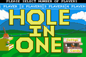 Hole-In-One Miniature Golf 23