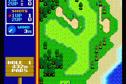 Hole in One Special abandonware