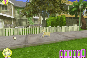 Hollywood Pets 12