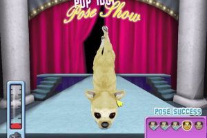 Hollywood Pets 8