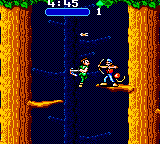 Hook 13