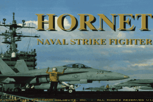 Hornet: Naval Strike Fighter 0