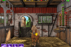 Horse + Pony Magazine: My First Pony 18