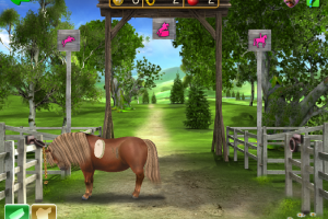 Horse + Pony Magazine: My First Pony 19