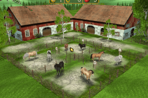 Horse + Pony Magazine: My First Pony 4