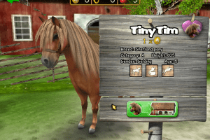 Horse + Pony Magazine: My First Pony 6