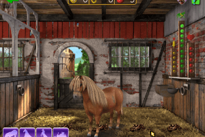 Horse + Pony Magazine: My First Pony 7