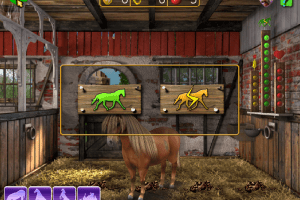 Horse + Pony Magazine: My First Pony 8
