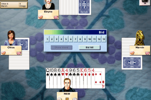 Hoyle Card Games 2007 3