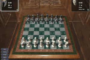 Hoyle Majestic Chess 14
