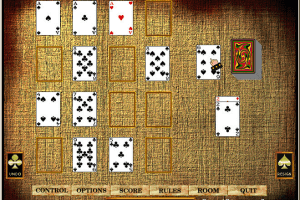 Hoyle Solitaire 10