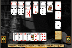 Hoyle Solitaire 14