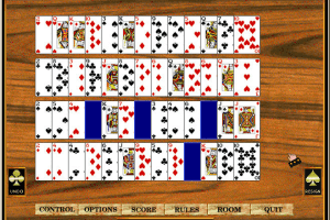 Hoyle Solitaire 16