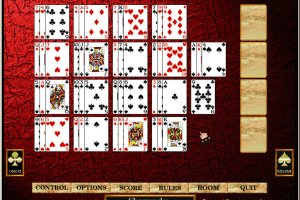 Hoyle Solitaire 24