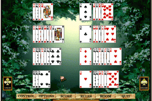 Hoyle Solitaire 5