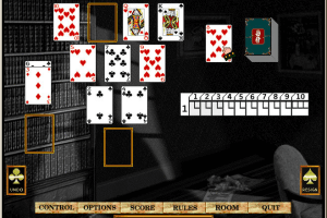 Hoyle Solitaire 6