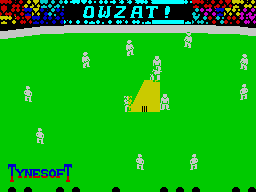 Ian Botham's Test Match abandonware