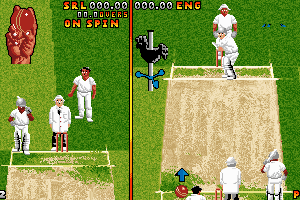 Ian Botham's Cricket abandonware